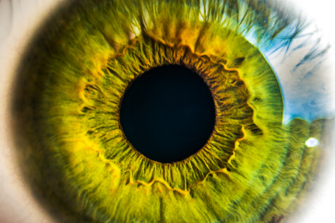 gros plan d’un oeil avec retine