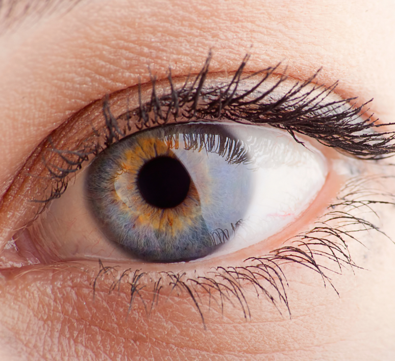 Troubles visuels : la rétinite pigmentaire, symptômes et traitements
