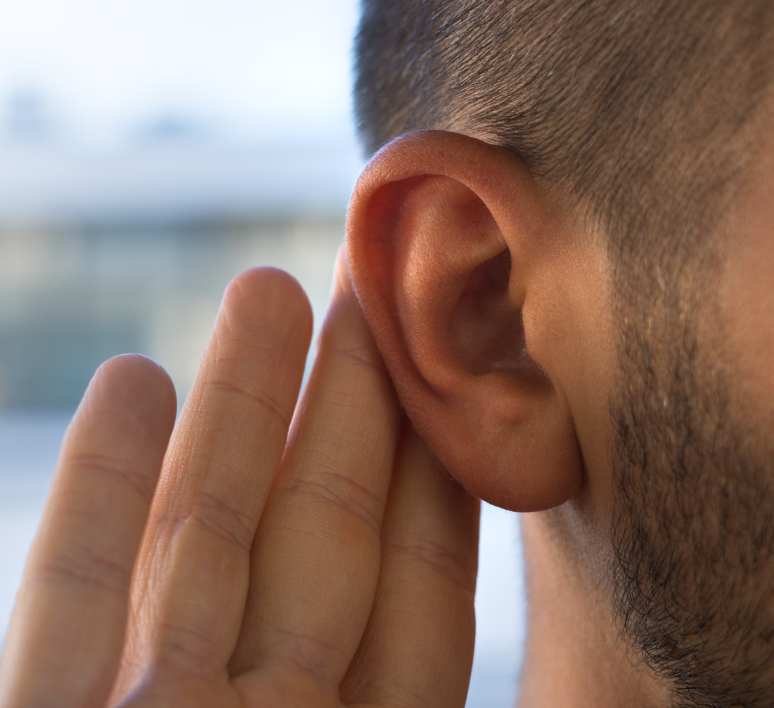 Comprendre la perte auditive :...