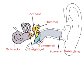 Das Hörsystem